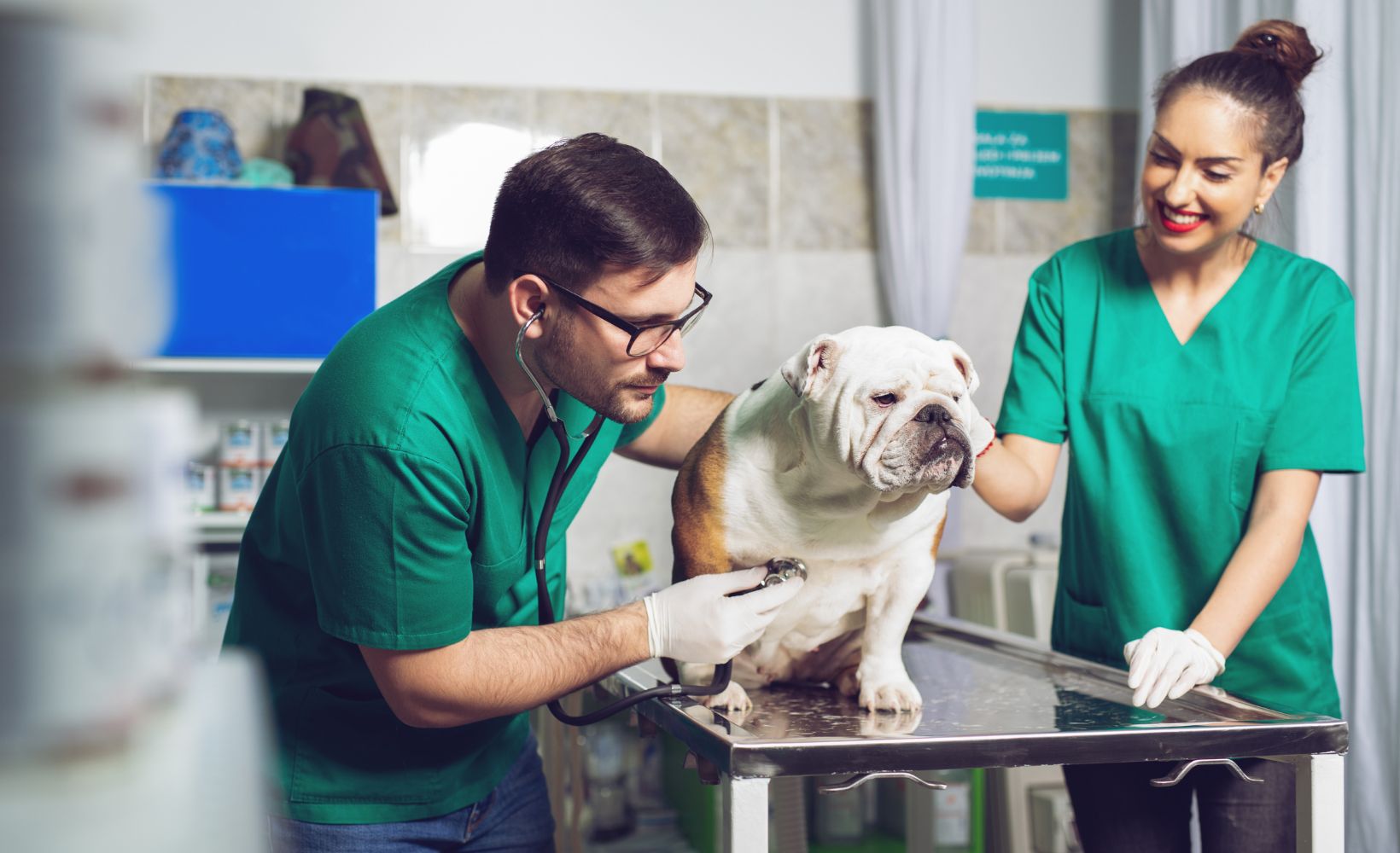 Zwei medizinische Fachangestellte untersuchen einen Hund.