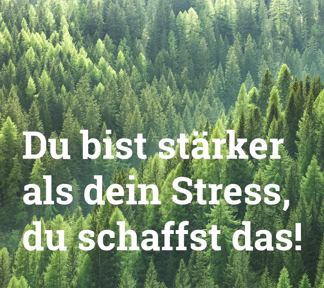 Hintergrundbild ist ein Tannenbaumwald. Text: Du bist stärker als dein Stress, du schaffst das!