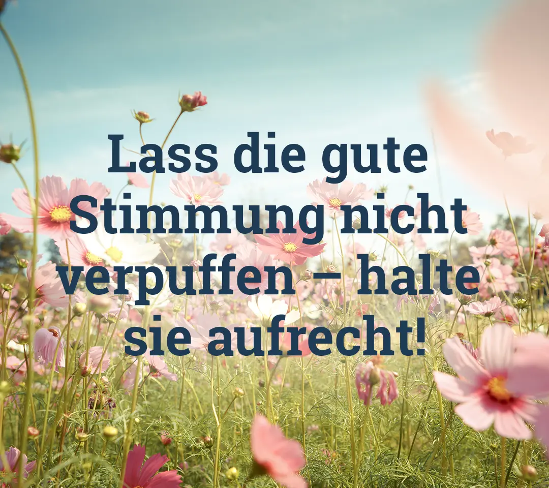Blumenwiese mit rosa Blüten. Text: Lass die gute Stimmung nicht verpuffen - halte sie aufrecht!