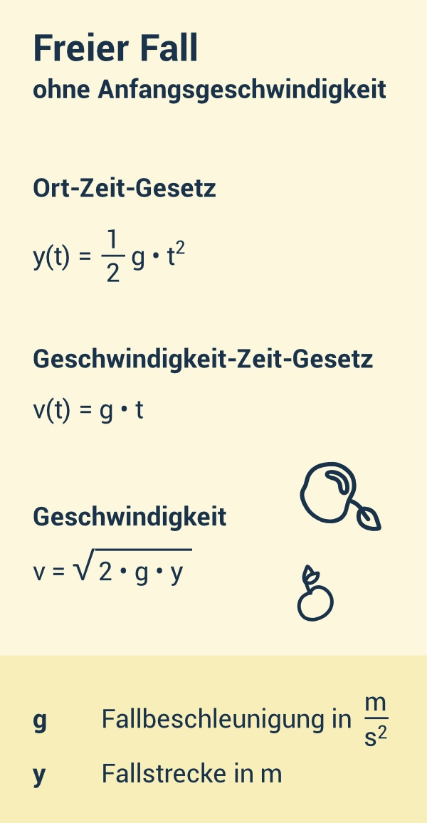 sprungbrett_physik_freier_fall