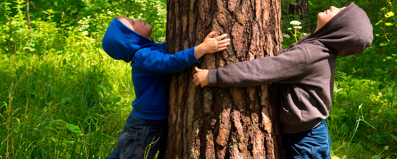 Zwei Jungs die ein großen Baum umarmen und nach oben schauen.